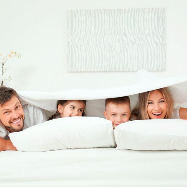 Gracias por tu interés en el Grupo NaraMsin